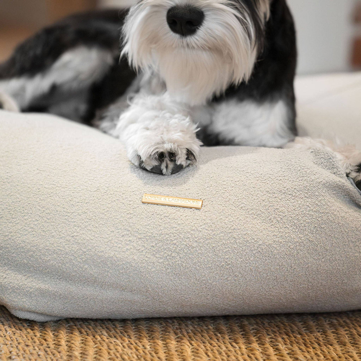 Snooze Pouff Dog Bed