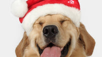 Naughty & Nice Christmas Soft Dog Treats