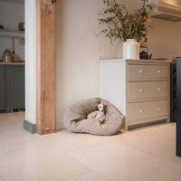 Squash 'Em Dog Bed