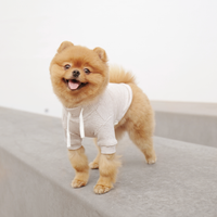 Breton Dog Shirt