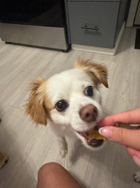 Breaky Bites - Bacon & Eggs
