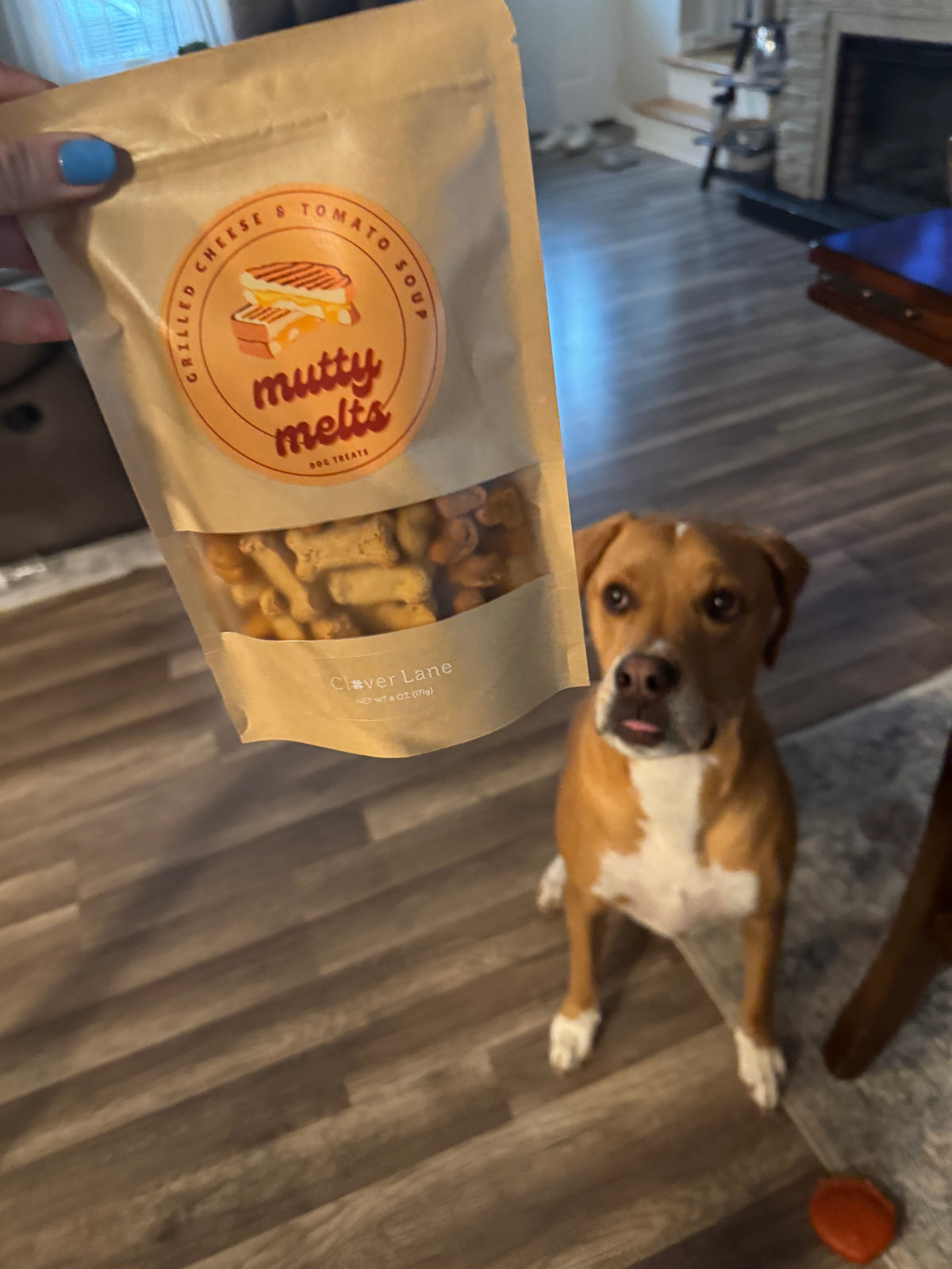 Mutty Melts - Grilled Cheese & Tomato Soup