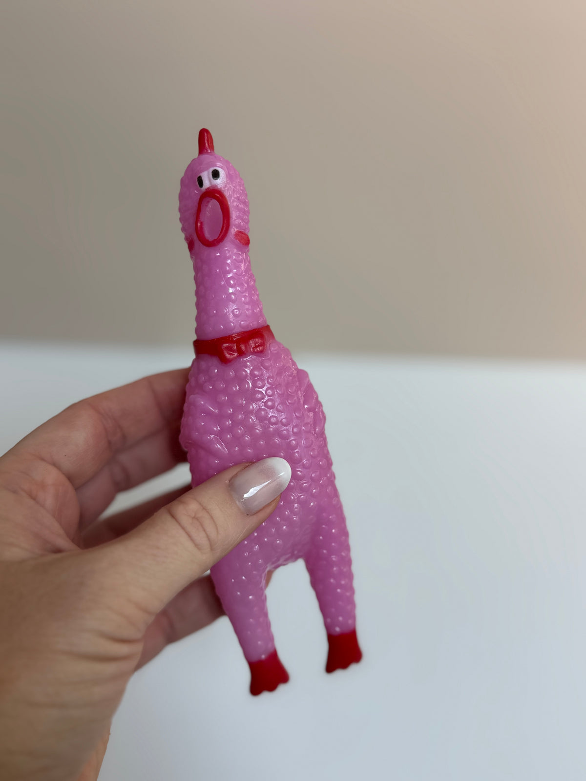 Pastel Rubber Chickens (5-pack)