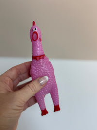 Pastel Rubber Chickens (5-pack)