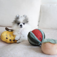 Watermelon Pop Dog Toy