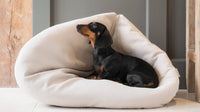 Squash 'Em Dog Bed