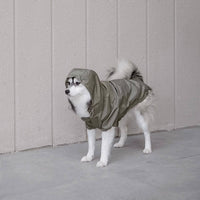 Brooklyn Dog Coat