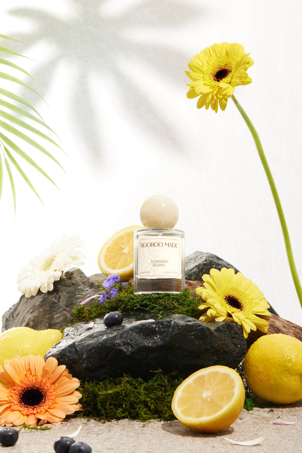 Dog Perfume | SUMMER BLANC