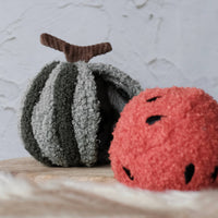Watermelon Pop Dog Toy