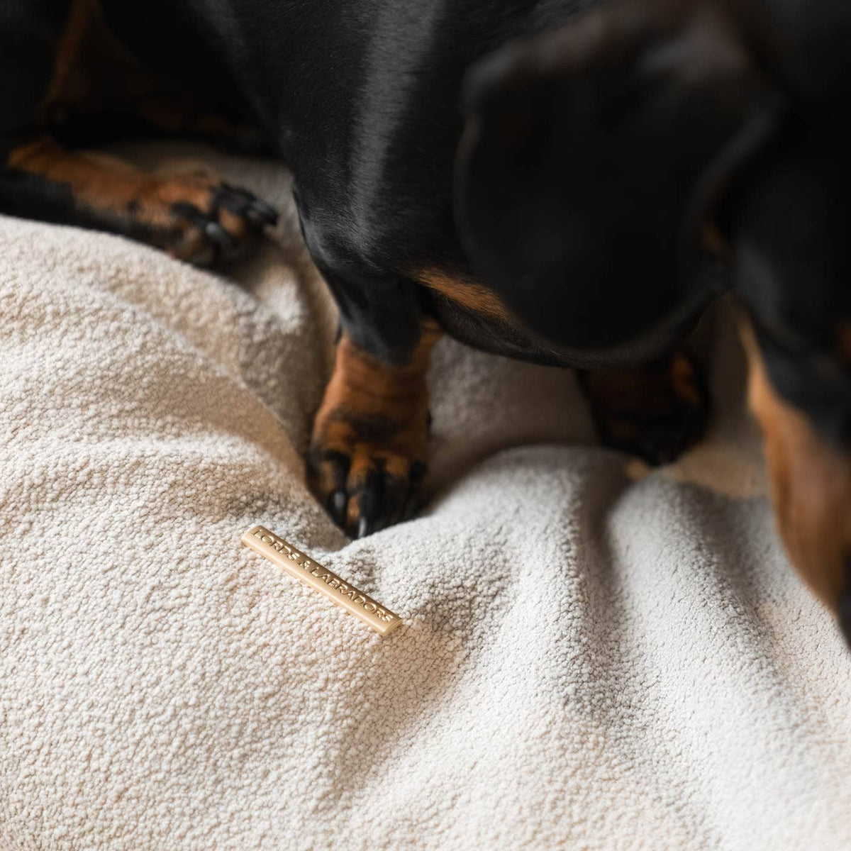 Squash 'Em Dog Bed