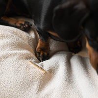 Squash 'Em Dog Bed