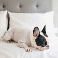 Breton Dog Shirt